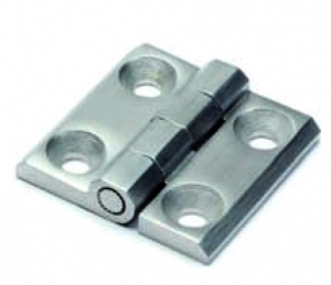 CCX _ AISI 316 Stainless Steel Hinge with Through Hole